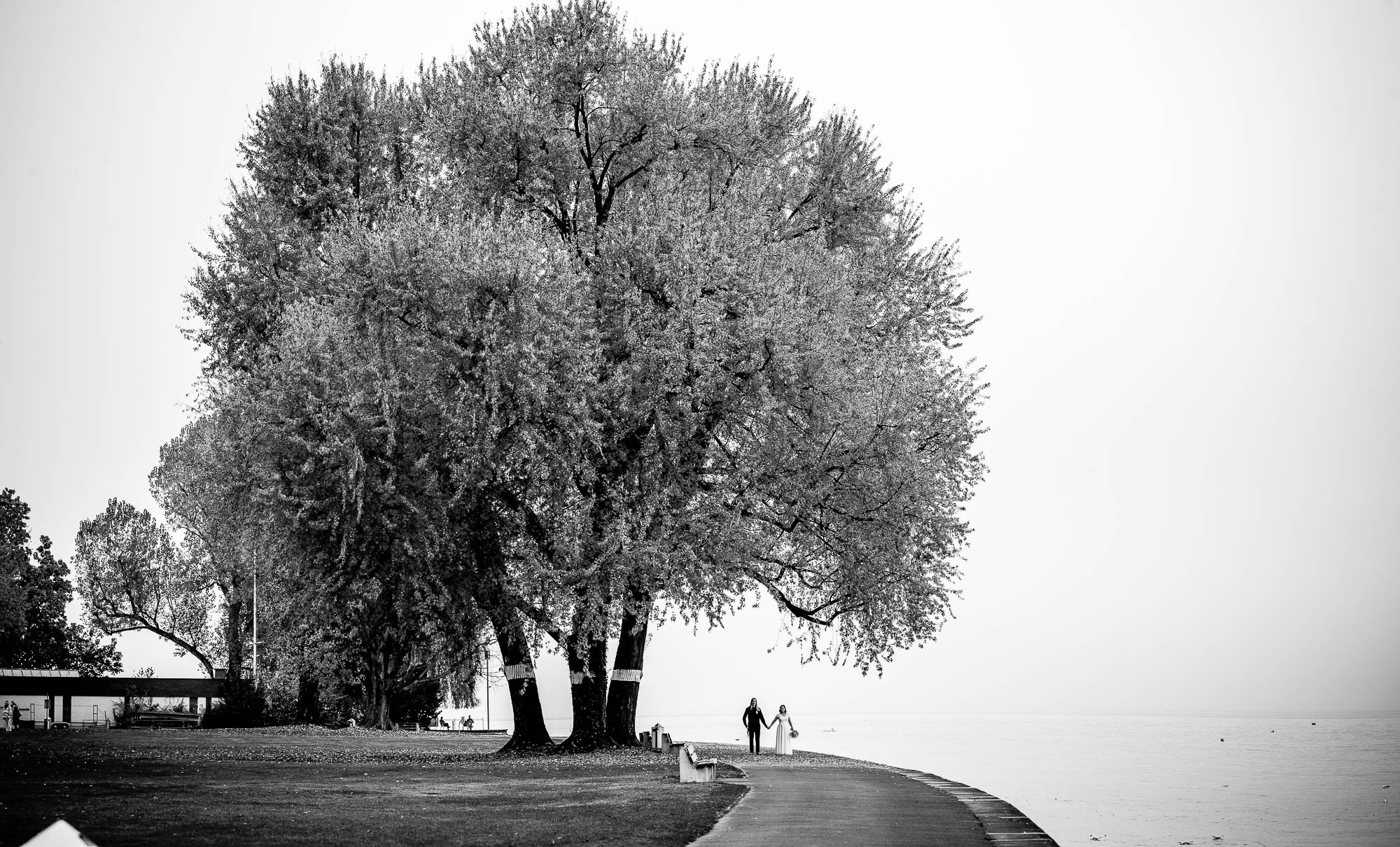 Export x3 1DX29340 Pano Hochzeit 2020 Monika & Sharru 6